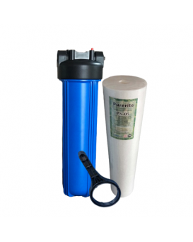 Wellon Crystal Clear PP Filter, Install in Mainline for 1 HP/2 HP motor (20 inch, PP,1 inch inlet/outlet, Blue)